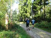  Blick auf die Wanderstrecke 